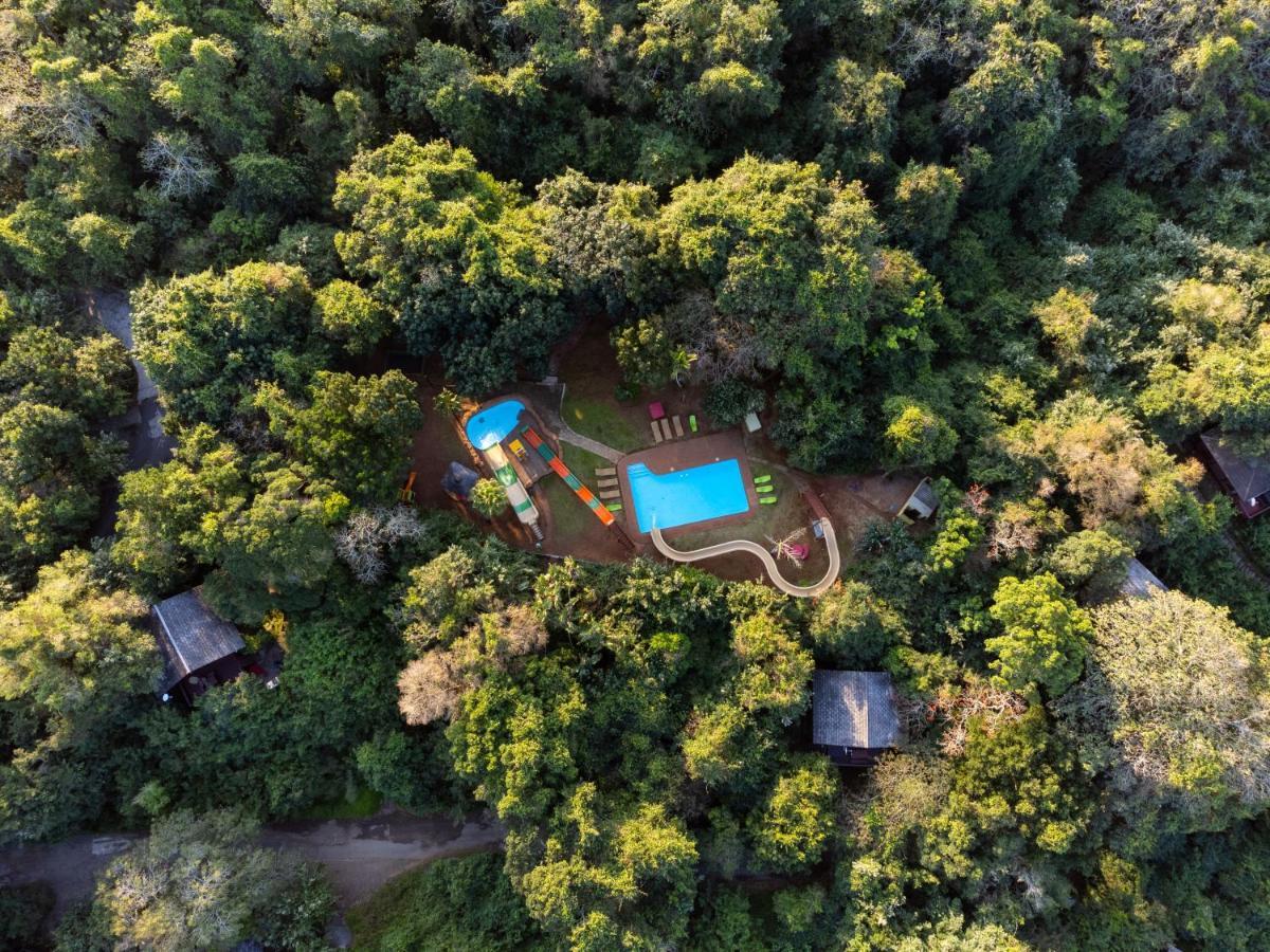 Mtunzini Forest Lodge Self Catering Resort المظهر الخارجي الصورة