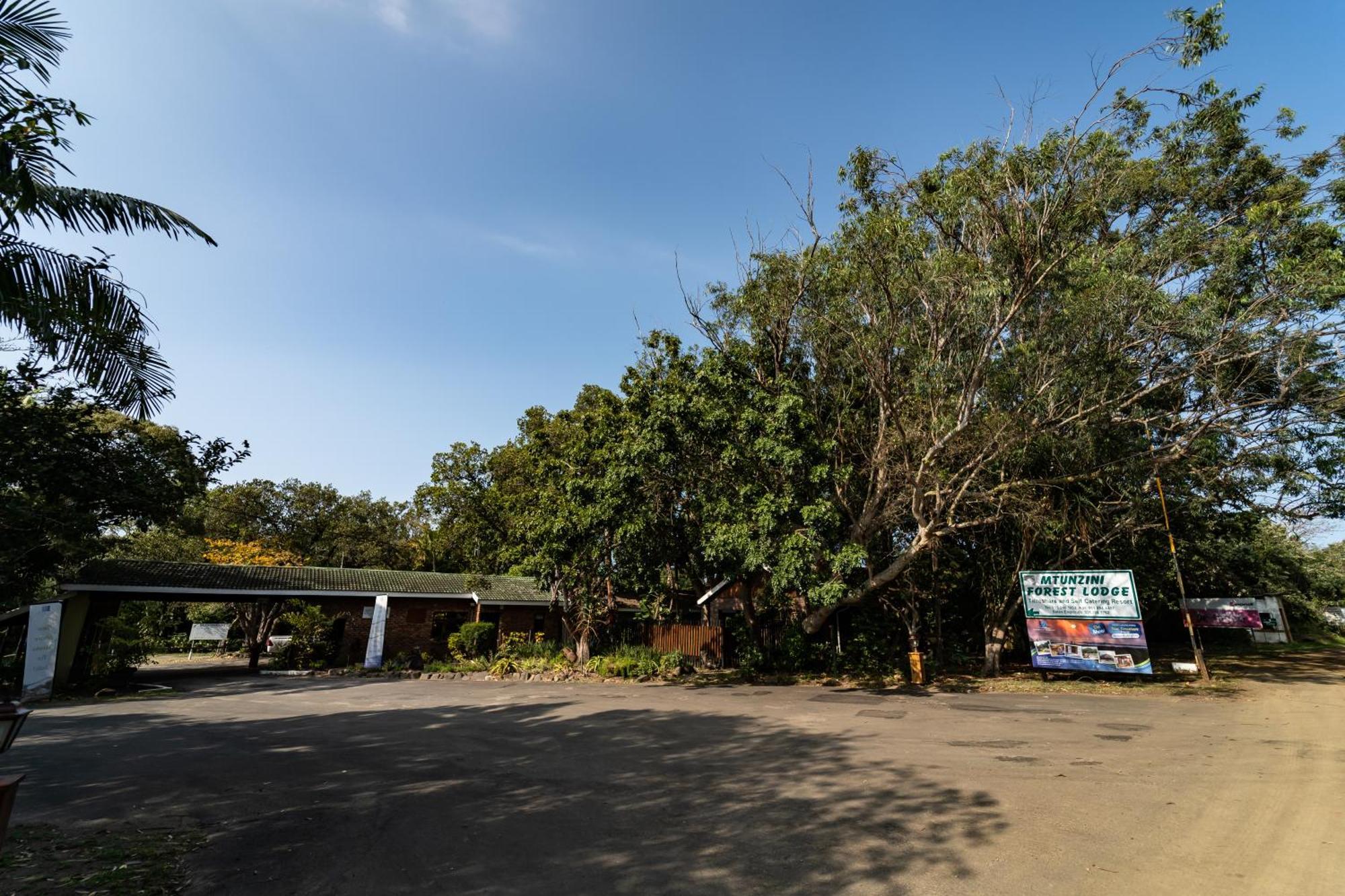 Mtunzini Forest Lodge Self Catering Resort المظهر الخارجي الصورة