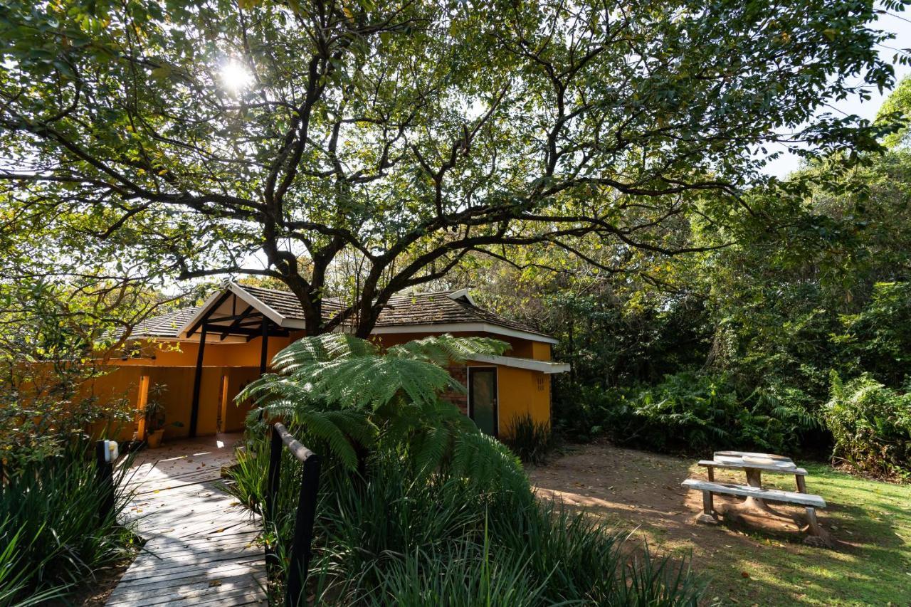 Mtunzini Forest Lodge Self Catering Resort المظهر الخارجي الصورة