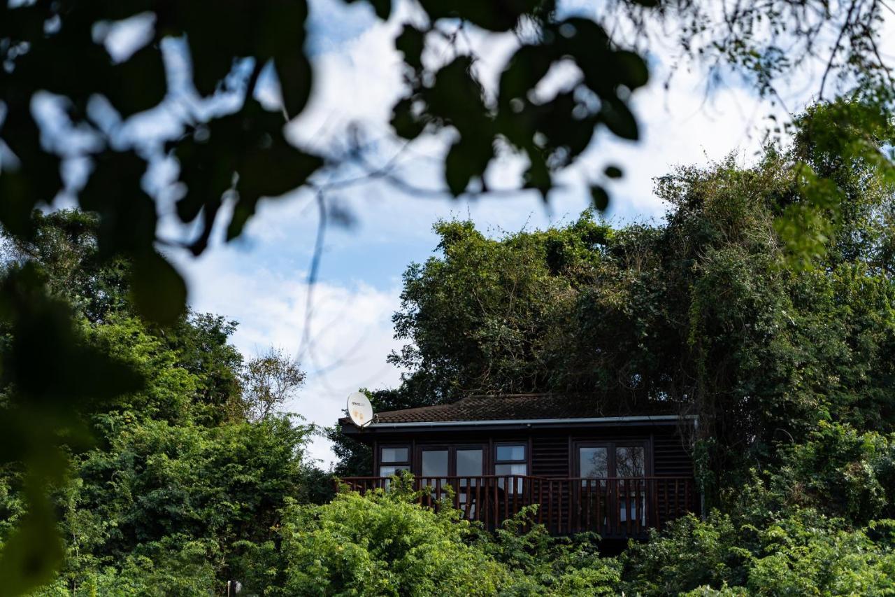 Mtunzini Forest Lodge Self Catering Resort المظهر الخارجي الصورة