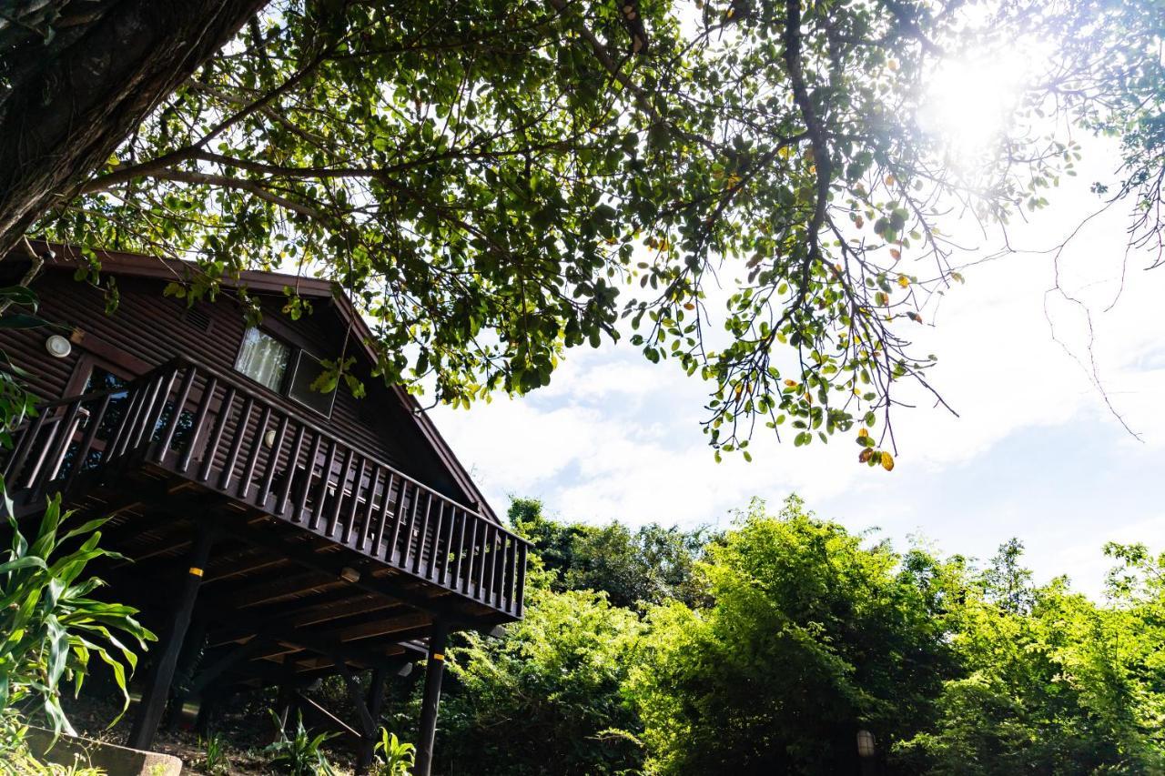 Mtunzini Forest Lodge Self Catering Resort المظهر الخارجي الصورة