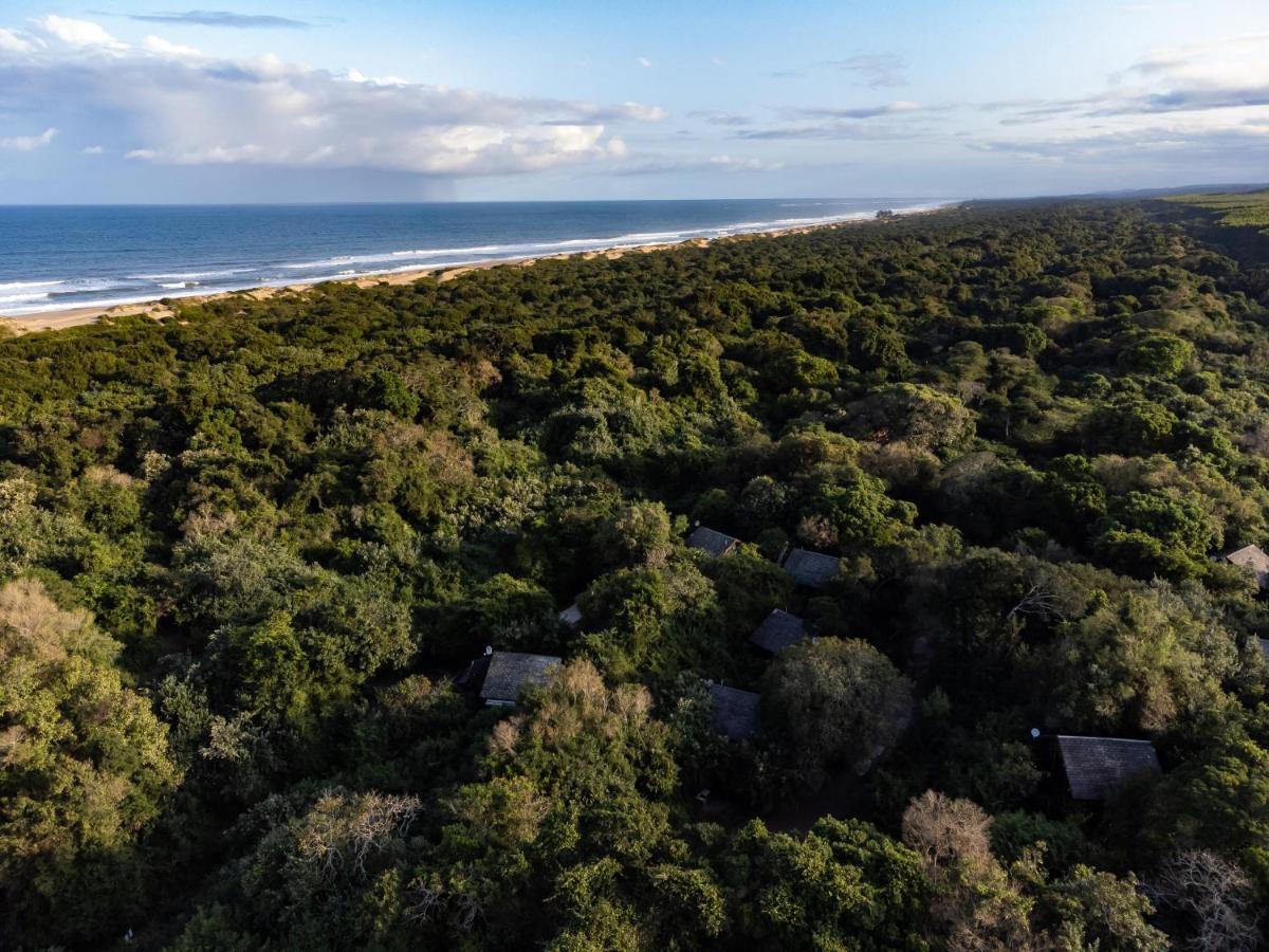 Mtunzini Forest Lodge Self Catering Resort المظهر الخارجي الصورة