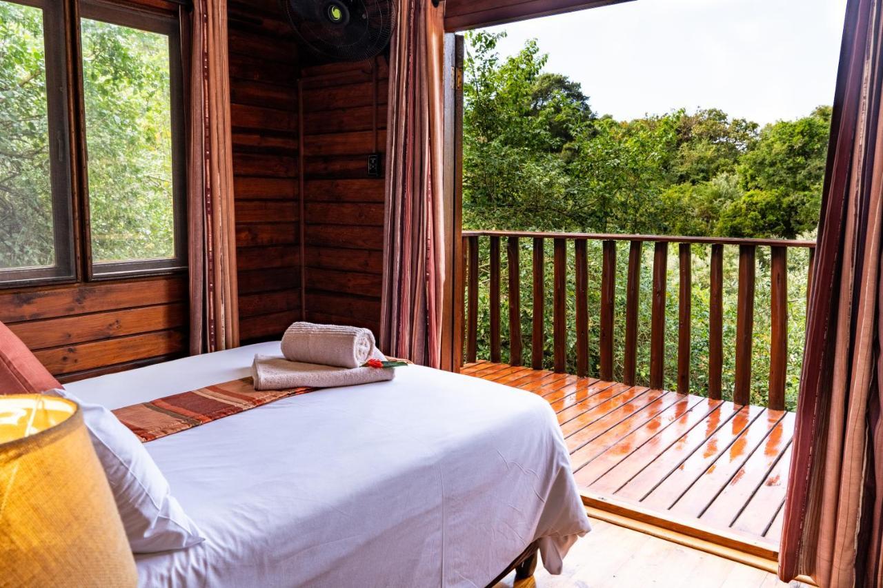 Mtunzini Forest Lodge Self Catering Resort المظهر الخارجي الصورة