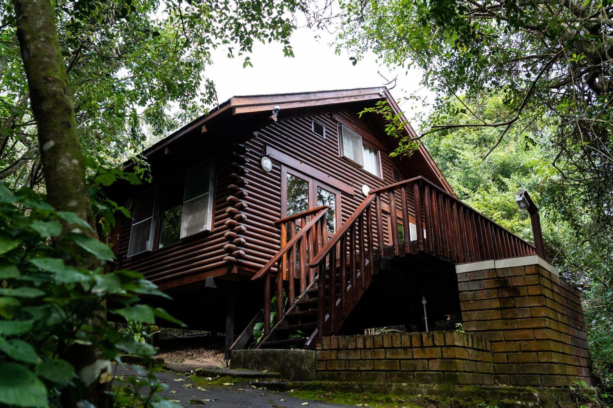Mtunzini Forest Lodge Self Catering Resort المظهر الخارجي الصورة