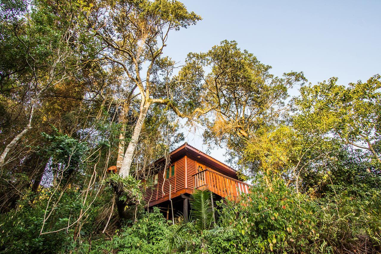 Mtunzini Forest Lodge Self Catering Resort المظهر الخارجي الصورة